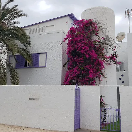Lavanda Playa de las Américas