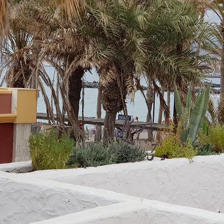 Lavanda Playa de las Américas