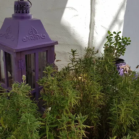 Aparthotel Lavanda 3*