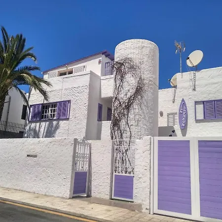Lavanda Playa de las Americas (Tenerife)