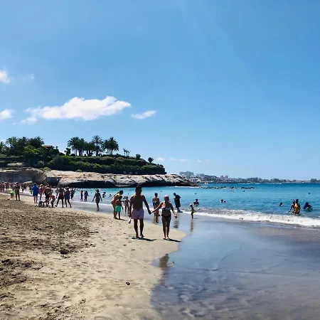Lavanda Playa de las Americas (Tenerife)