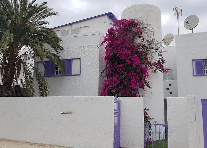 Lavanda Playa de las Americas (Tenerife)