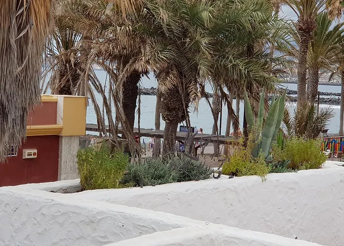 Lavanda Playa de las Americas (Tenerife)