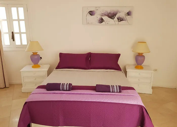 Lavanda Плая-де-лас-Америкас