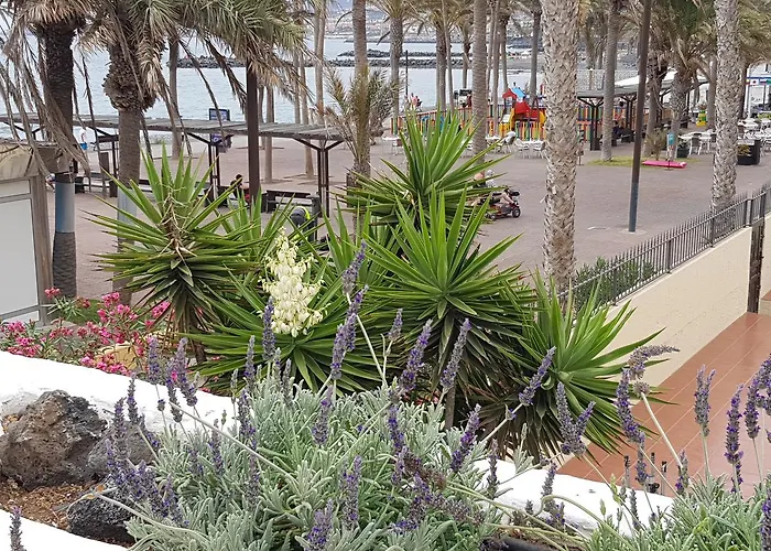 Lavanda Lägenhetshotell 3*