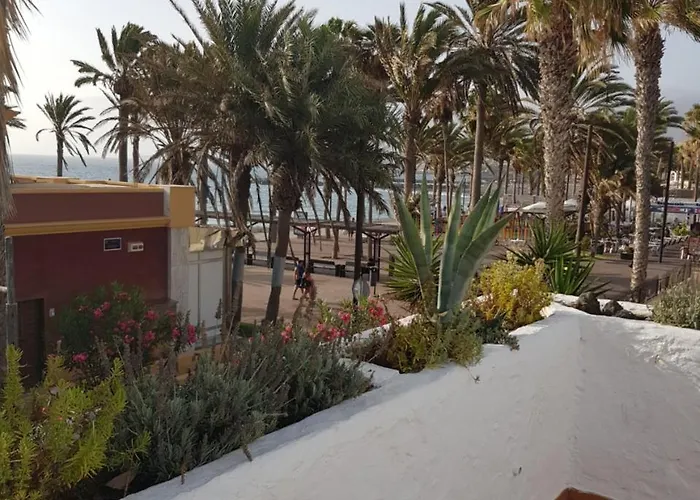 Lägenhetshotell Lavanda Playa de las Americas (Tenerife)