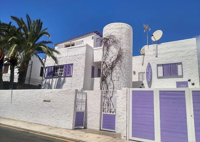 Lavanda 플라야데라스아메리카스