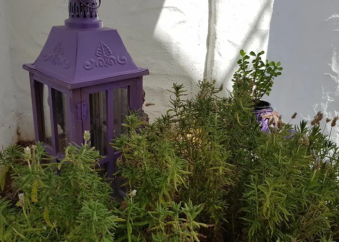 Hotel apartamentowy Lavanda 3*